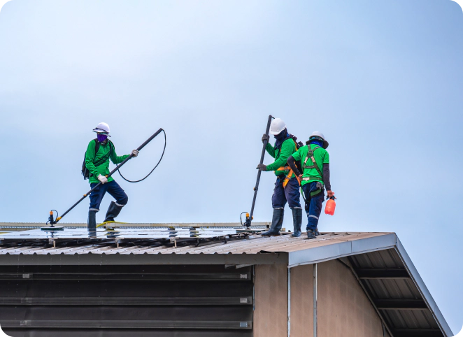 Haus & Dachreinigung